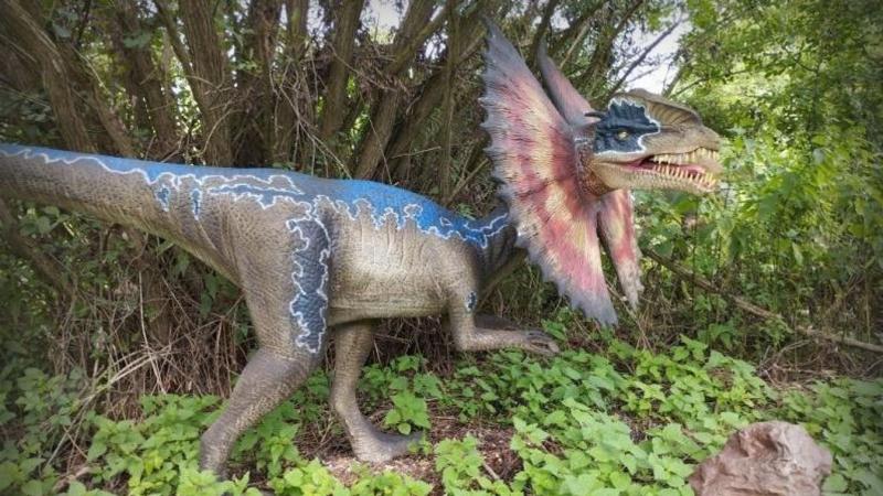 Fedezd fel a múlt csodáit Sátoraljaújhely környékén, ahol a dinoszauruszok izgalmas világába csöppenhetsz! A Zempléni Dinó Parkban egy felejthetetlen kaland vár rád, tele szórakoztató élményekkel és lenyűgöző felfedezésekkel. Merülj el a prehistorikus táj