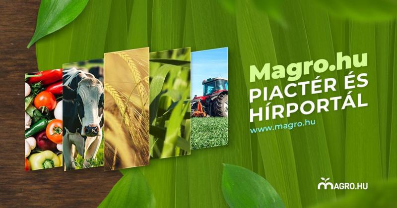 Magro.hu - az innovatív piactér és hírportál, ahol a mezőgazdaság és az agrárszektor legfrissebb hírei, információi és üzleti lehetőségei találkoznak. Fedezd fel az agrárium világát, és légy részese egy dinamikus közösségnek, ahol a szakmai kapcsolatok ép