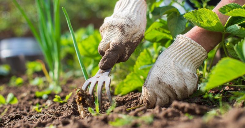A termőföld mennyisége drasztikusan csökkent, és a helyzet aggasztóan súlyos.