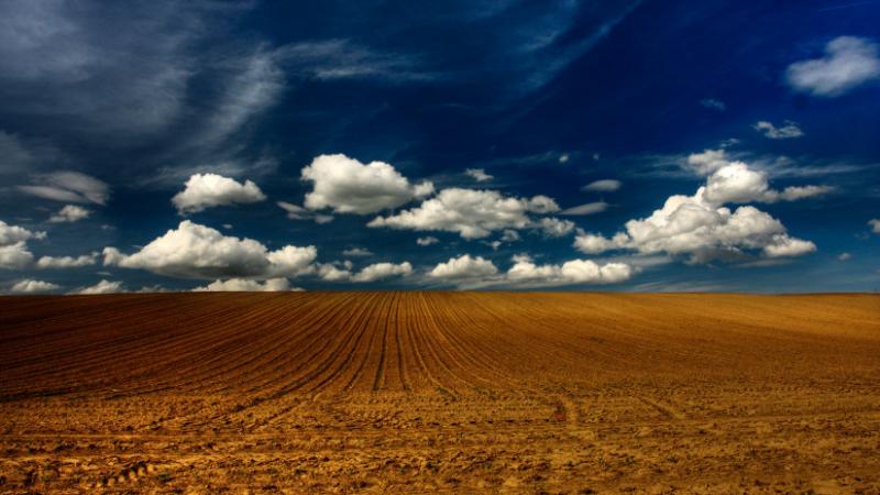 Itt a keserű igazság: vajon tényleg megfékezi a magyar gazdaság fejlődését az agrárium? - Agrárszektor