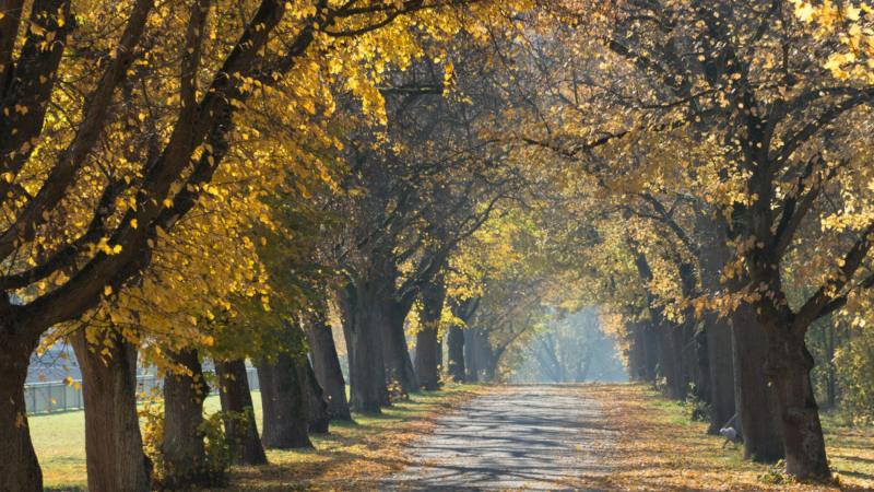 Kezd újra felbukkanni a sofőrök rémálma.